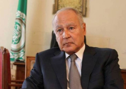 أبو الغيط: يجب العمل بقوة على إنهاء الاحتلال الإسرائيلي