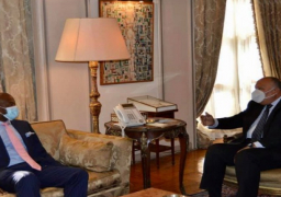 شكري يستقبل السكرتير العام لاتفاقية التجارة الحرة القارية الأفريقية