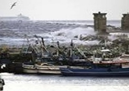 إغلاق ميناء البرلس لليوم الخامس على التوالي لسوء الأحوال الجوية