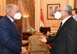 جبالى وأبو الغيط يستعرضان تطورات الأوضاع والتحديات بالعالم العربى