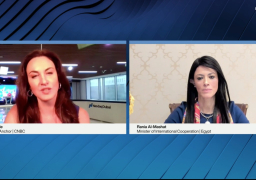 «المشاط»: صياغة السياسات الاقتصادية والاجتماعية الفاعلة يتطلب التعاون والتنسيق مع الأطراف ذات الصلة (فيديو)