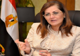 التخطيط: زيادة الاستثمارات الحكومية إلى 280.7 مليار جنيه خلال 2020-2021