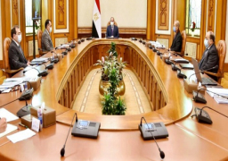 الرئيس السيسي يوجه بالتطوير الشامل لمنظومة المحاجر على مستوى الجمهورية وفق آلية مركزية موحدة
