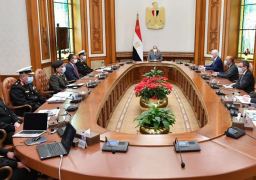 الرئيس السيسي يثمن التعاون مع شركة “لورسن” لصناعة السفن والمدمرات