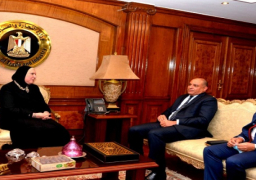 جامع تبحث مع مسئولى وفا بنك التواجد المصري فى الأسواق الأفريقية