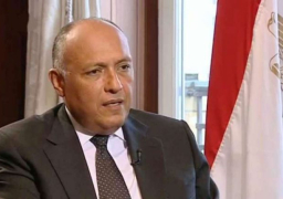 شكري:مصر تتعامل مع قضية الهجرة استنادا لرؤية استراتيجية متوازنة