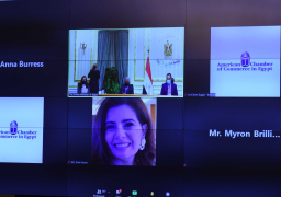 غرفة التجارة الأمريكية تشيد باجراءات مصر في مواجهة كورونا