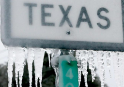 كارثة فى شوارع تكساس بعد إزالة الثلوج عنها …العثور على عشرات الجثث