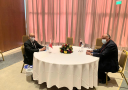 شكري ونظيره البحريني يبحثان تحديات الأمن والاستقرار الإقليمي