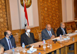 شكري يشارك في جلسة لوسائل الإعلام تحضيرا لمنتدى أسوان للسلام والتنمية