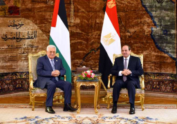 الرئيس السيسي يؤكد ثبات الموقف المصري تجاه القضية الفلسطينية