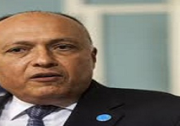 شكري والجرندي يبحثان هاتفياً سبل تعزيز العلاقات الثنائية بين مصر وتونس