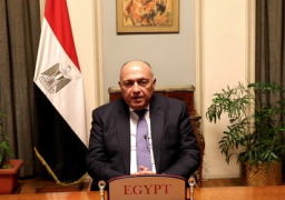 شكري يبحث مع نظيره اللبناني سبل تحريك المشهد السياسي في لبنان