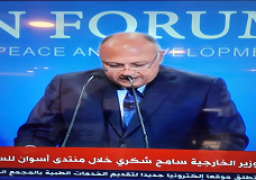 شكري: مصر حريصة على مواجهة مشكلات القارة الأفريقية