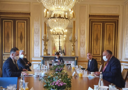 شكرى يبحث مع نظيره الألماني التعاون بين البلدين