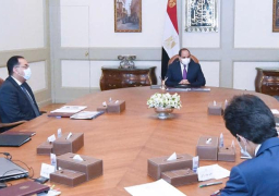 الرئيس عبد الفتاح السيسي يوجه بالبدء الفوري في تنفيذ مشروع ” الدلتا_الجديدة” بمساحة مليون فدان