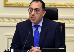 الحكومة: الموافقة لـ “التعليم العالي” و”الزراعة” بإبرام عقد مشاركة مع “إيفا فارم” لتصنيع لقاح كورونا