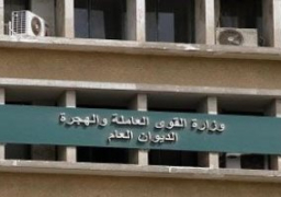 القوى العاملة تعد قاعدة بيانات دقيقة للعاملين المصريين بالخارج