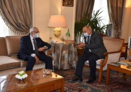 أبو الغيط يبحث مع وزير خاررجية حكومة الوفاق تطورات الأزمة الليبية