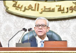 “النواب” يوافق على مجموع مواد مشروع قانون الموارد المائية والري