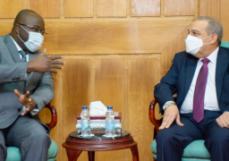 بالصور..وزير الإنتاج الحربى يبحث مع “وفد غينى” رفيع المستوى سبل تعزيز التعاون المشترك