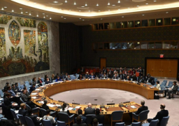 الإمارات تؤكد التزامها بالتعاون مع الدول الأفريقية خلال فترة عضويتها في مجلس الأمن