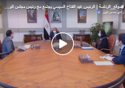 بالفيديو : الرئيس السيسي يوجه بتعزيز جهود تعميق التصنيع المحلي وتوطين التكنولوجيا