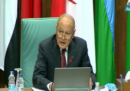 أبو الغيط: المنطقة العربية مازالت تعيش في حزام من الأزمات