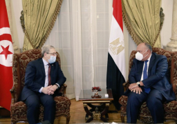 شكري يعقد جلسة مباحثات مع نظيره التونسي