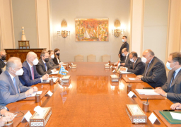 شكري يعقد جلسة مشاورات سياسية مع نظيره اليوناني| صور