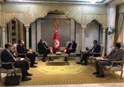 شكري يصل إلى تونس حاملاً رسالة من الرئيس السيسي