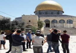 67 مستوطنا يقتحمون ساحات المسجد الأقصى المبارك