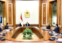 الرئيس السيسي يوجه باستمرار توفير المناخ الداعم للصناعات الوطنية الثقيلة