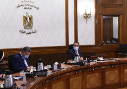 مدبولي يوجه بسرعة إعداد آليات تحفيز المزارعين على زراعة القطن لتوفير احتياجات الصناعة المصرية