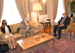 شكري يؤكد استمرار مساعي مصر للوصول لتسوية شاملة في ليبيا