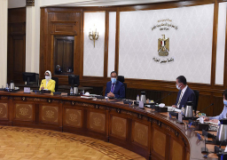 مدبولي: نعمل على تنفيذ تكليفات الرئيس لتوفير أكبر قدر من اللقاحات