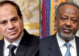الرئيس السيسي: اتفقنا على زيادة معدلات التبادل التجاري بين مصر وجيبوتي