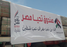 صندوق “تحيا مصر” يرسل القافلة الثانية لدعم غزة | صور