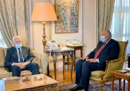 شكري يؤكد على مواصلة الجهود لإنهاء التصعيد الحالي بالأراضي الفلسطينية