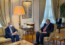 شكري يبحث مع رئيس مجلس الشورى اليمني مستجدات الأزمة اليمنية