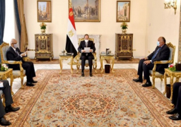 الرئيس السيسي يؤكد خصوصية العلاقات الثنائية المتميزة بين مصر ومالي