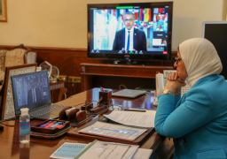 زايد تؤكد التزام مصر بالتعاون الكامل مع جميع الدول لتعزيز الأمن الصحي