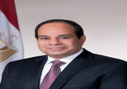 السيسي يؤكد تمسك مصر بانجاز المصالحة الفلسطينية في اقرب وقت