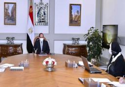 الرئيس السيسي يوجه بتعزيز الاستثمار الصناعي بالاشتراك مع خبرات القطاع الخاص