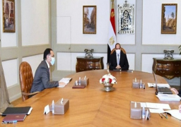 الرئيس السيسي يوجه بالالتزام بالجداول الزمنية للانتهاء من مشروعات إمدادات خطوط التغذية الكهربائية لسيناء