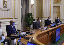 الحكومة: تسجيل بيانات المنتدبين بين وحدات الجهاز الإداري إلكترونيا