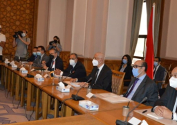 اليوم.. بدء المشاورات السياسية بين مصر وتركيا