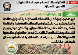 “الحكومة” تنفي انتشار أسماك فاسدة وغير صالحة للاستهلاك الآدمي بالأسواق