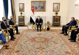 الرئيس السيسي للمبعوث الأمريكي: مصر لن تقبل بالإضرار بمصالحها المائية أو المساس بمقدرات شعبها
