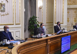 مدبولي: الحكومة تُثمن خطوات الرئيس لتعزيز دور مصر الإقليمي والدولي